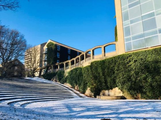 Rethinker Tema Udflugt Mærk Aarhus Universitetsparken Fonden Visitaarhus 